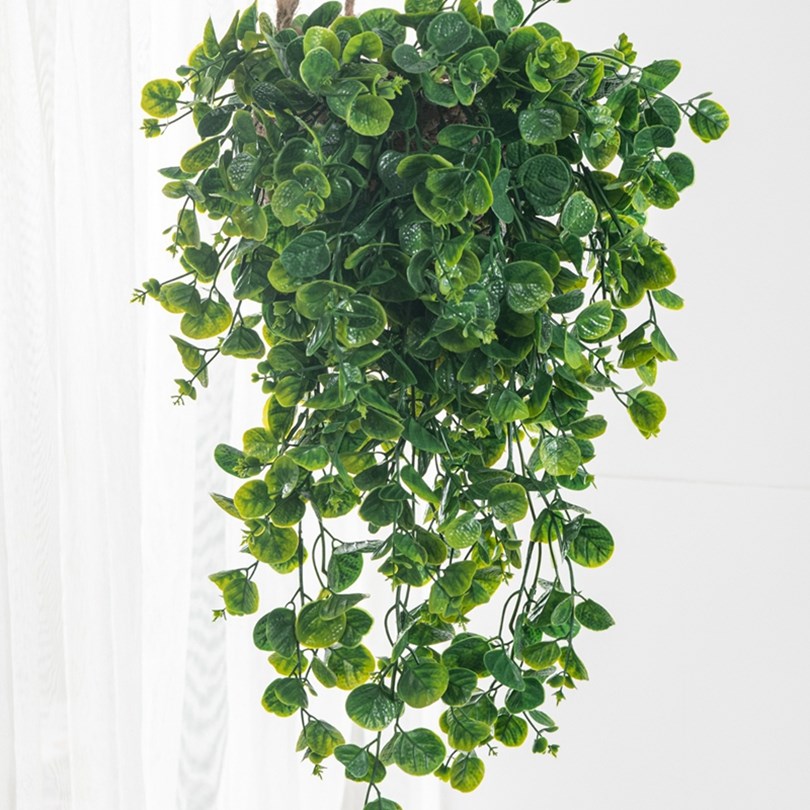 Rattan Plant Basket - ต้นยูคาลิปตัส เฟิร์น หวาย ต้นไม้ประดิษฐ์จากพลาสติก ของตกแต่งบ้าน แขวนผนัง
