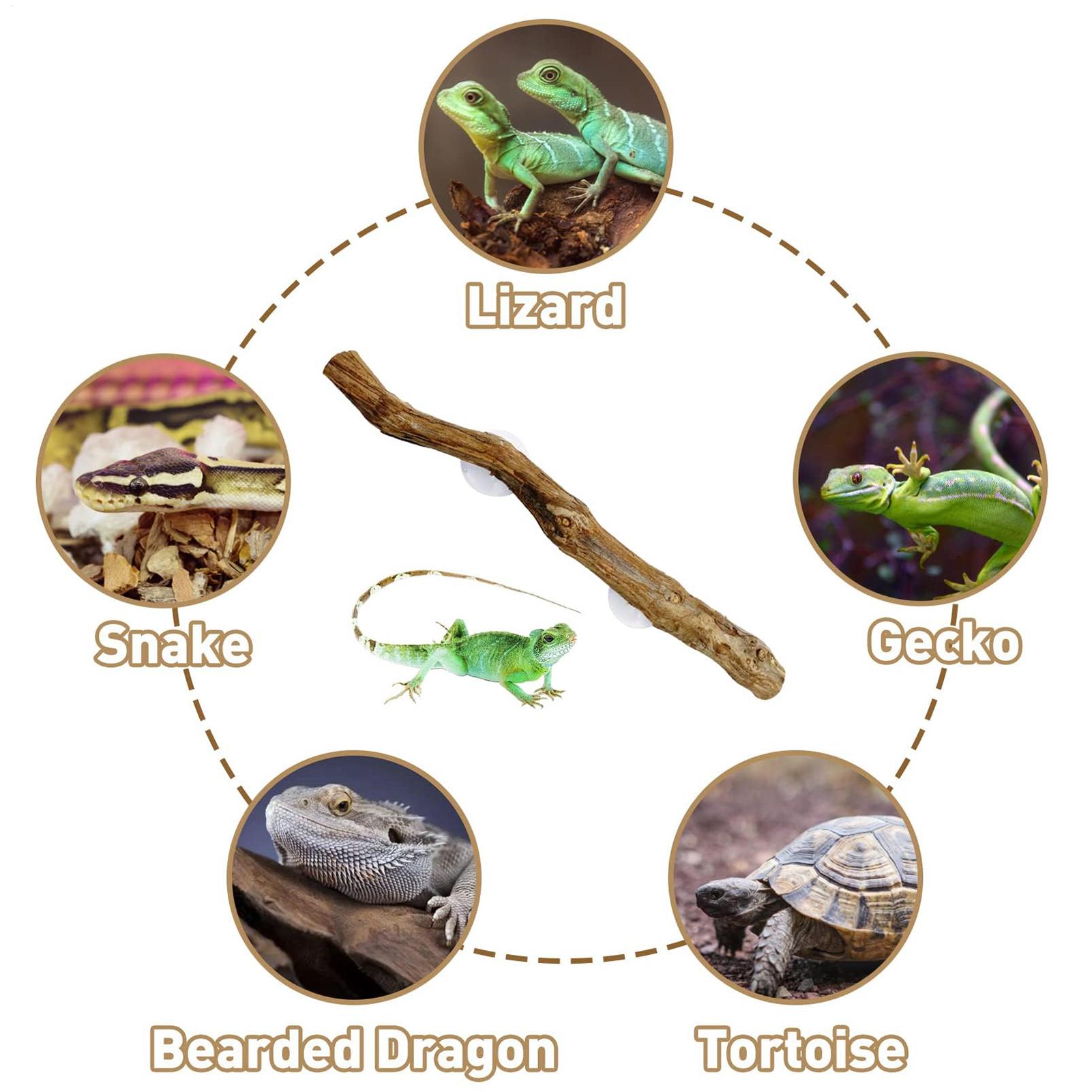 Home Decor Habitat - ไม้ปีนป่ายสำหรับงูและสัตว์เลื้อยคลาน ไม้ปีนป่ายกันลื่นสำหรับตกแต่งที่อยู่อาศัยของกิ้งก่าและตุ๊กแกเสือดาว