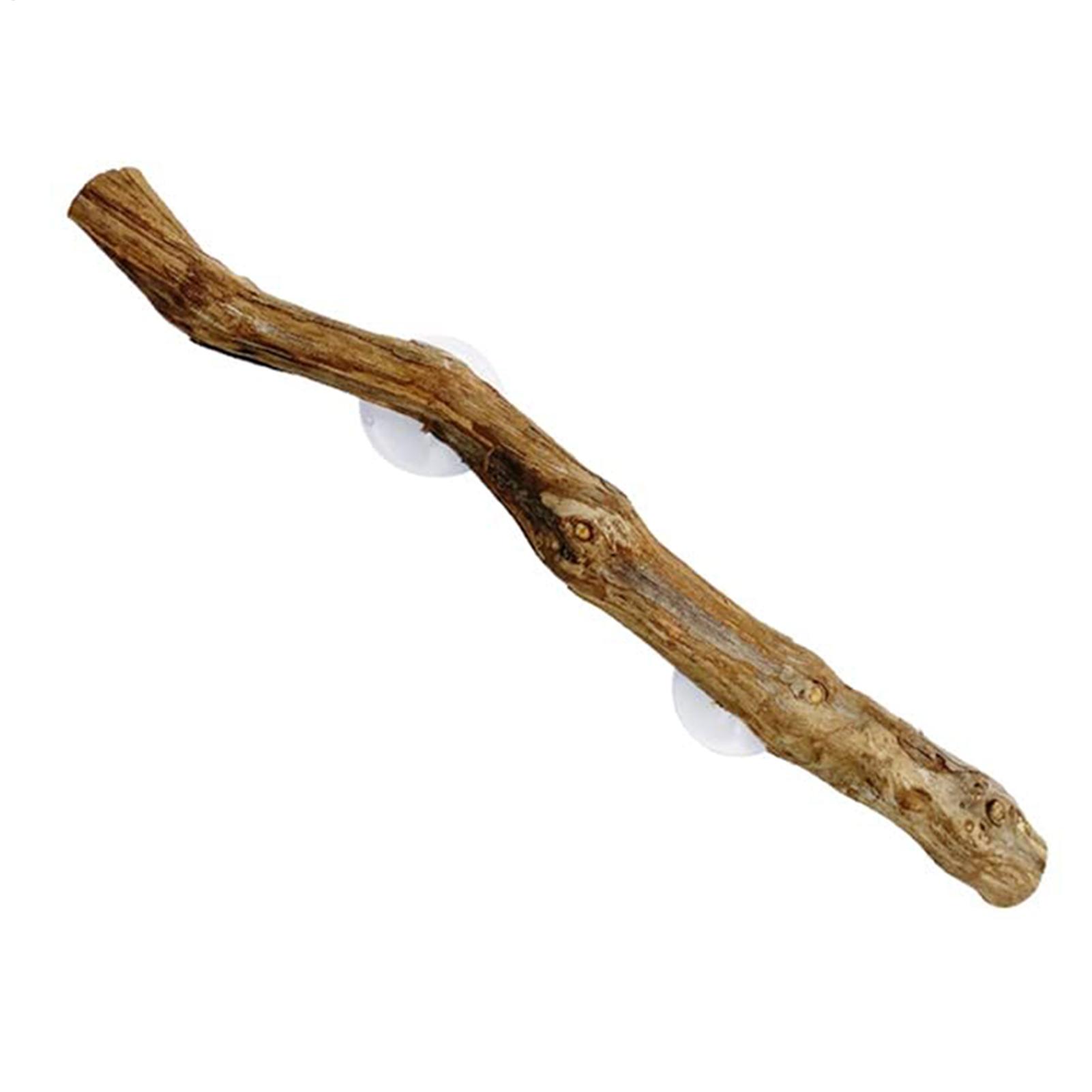 Home Decor Habitat - กิ่งไม้ตกแต่งสำหรับสัตว์เลื้อยคลาน ยี่ห้อ Unique Bearded Dragon ของตกแต่งต้นไม้ไม้จริงสำหรับสัตว์เลื้อยคลาน
