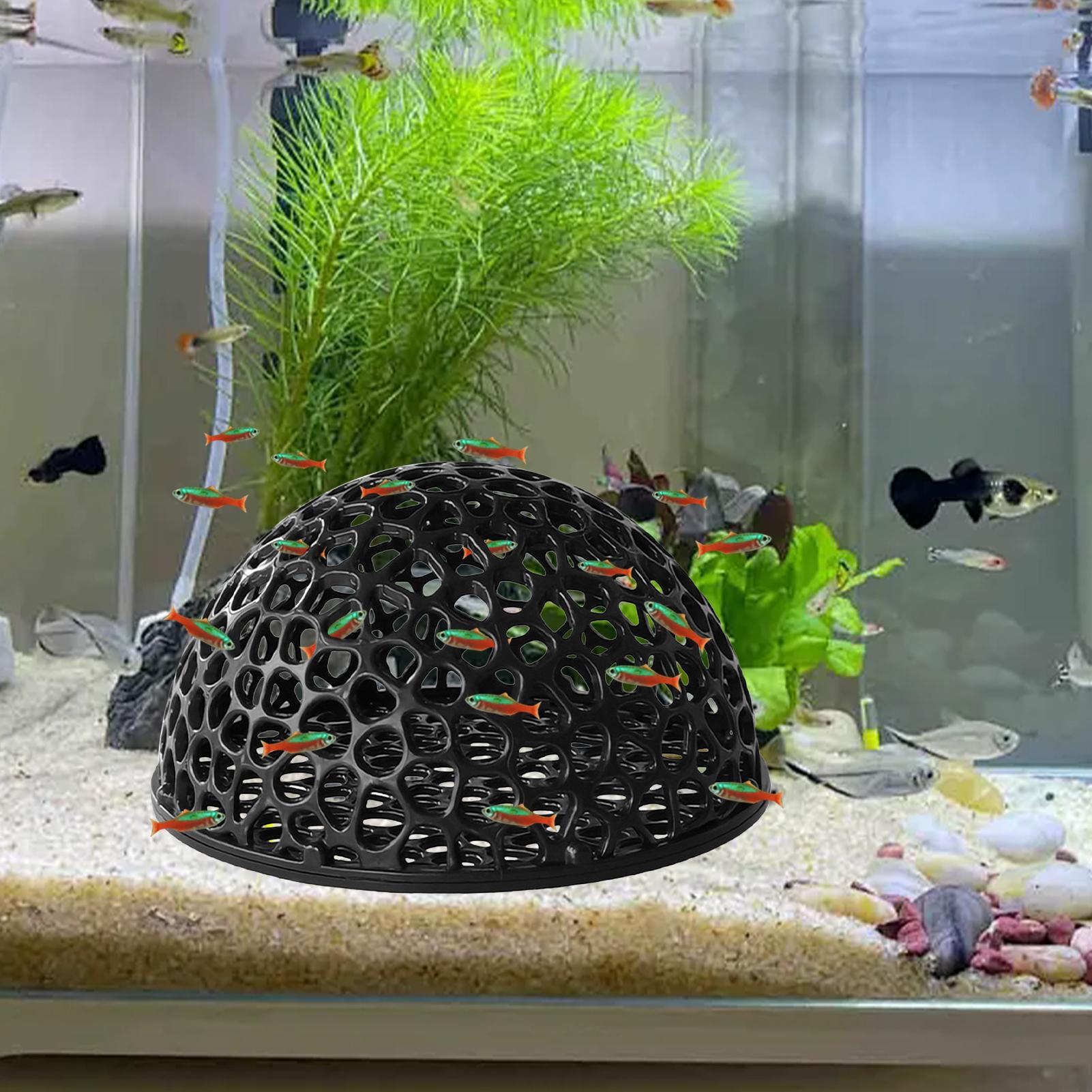 Home Decor Habitat - ถ้ำเพาะพันธุ์กุ้ง ตู้ปลา ที่ซ่อนตัวสำหรับกุ้ง ของตกแต่งตู้ปลา อุปกรณ์ซ่อนตัว ที่อยู่อาศัยสำหรับปลาเบต้า