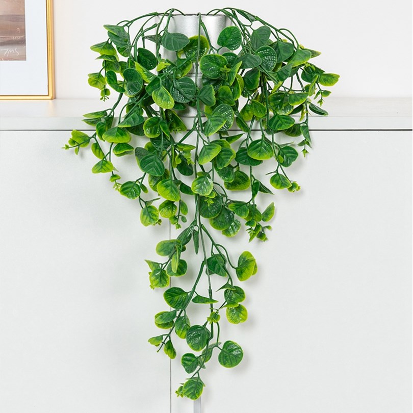 ต้นยูคาลิปตัส เฟิร์น หวาย ต้นไ - Rattan Plant Basket บทวิจารณ์และราคา