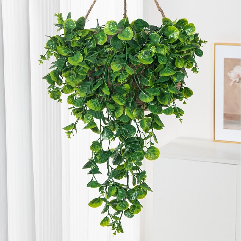 ต้นยูคาลิปตัส เฟิร์น หวาย ต้นไ - Rattan Plant Basket บทวิจารณ์และราคา