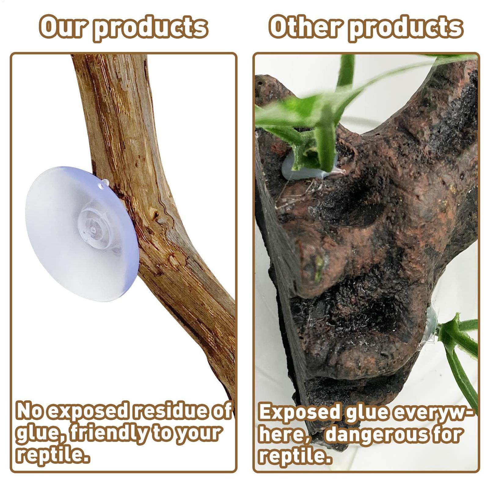 กิ่งไม้ตกแต่งสำหรับสัตว์เลื้อย - Home Decor Habitat บทวิจารณ์และราคา