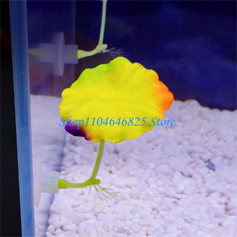 พืชน้ำหลากสีสันประดิษฐ์สำหรับต - Home Decor Habitat บทวิจารณ์และราคา
