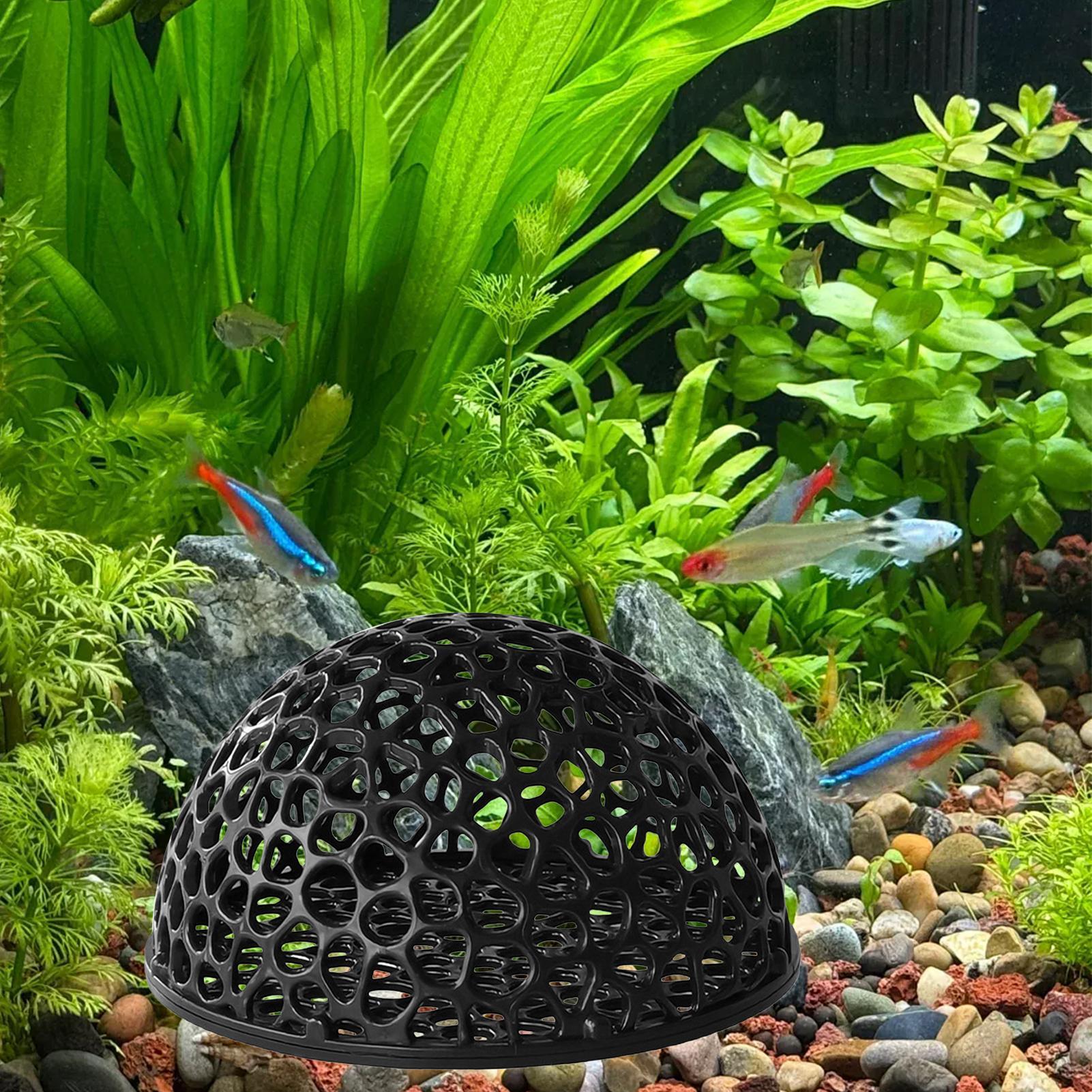 ถ้ำเพาะพันธุ์กุ้ง ตู้ปลา ที่ซ่ - Home Decor Habitat บทวิจารณ์และราคา