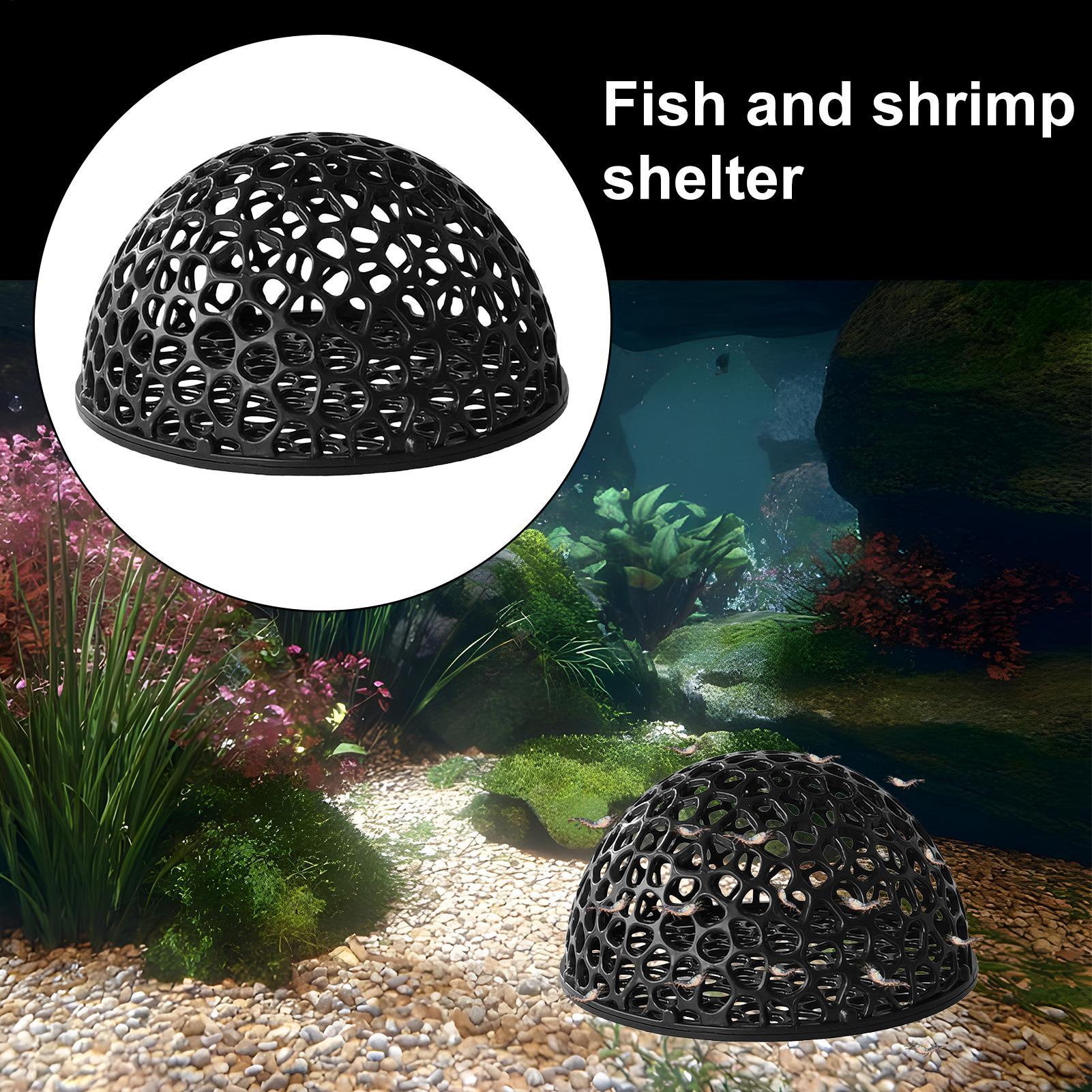 ถ้ำเพาะพันธุ์กุ้ง ตู้ปลา ที่ซ่ - Home Decor Habitat บทวิจารณ์และราคา