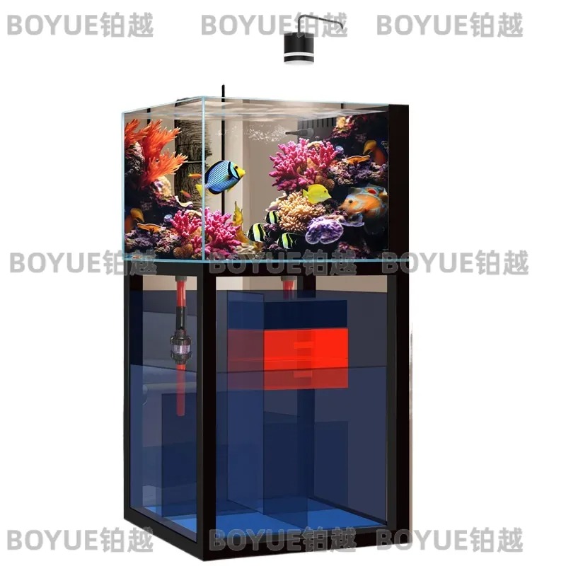 ตู้ปลาทะเลน้ำใสพิเศษพร้อมระบบก - Home Decor Habitat บทวิจารณ์และราคา
